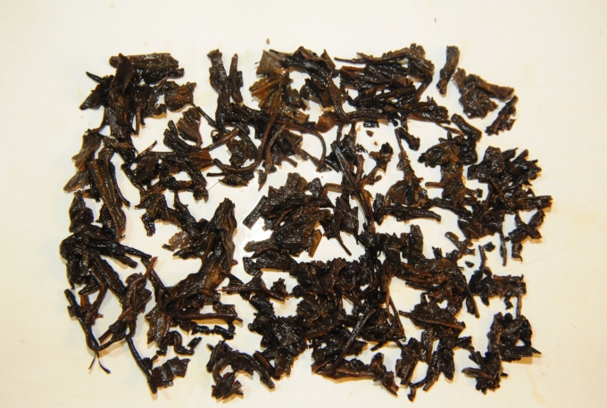 conew_dsc_2657.jpg