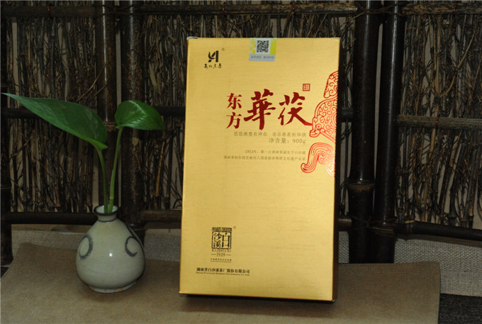 照片 029.jpg