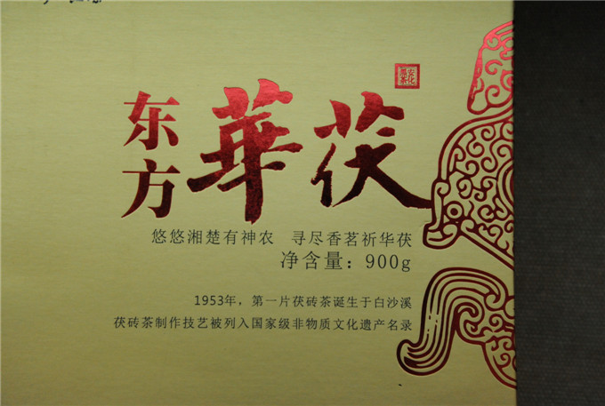 照片 031.jpg