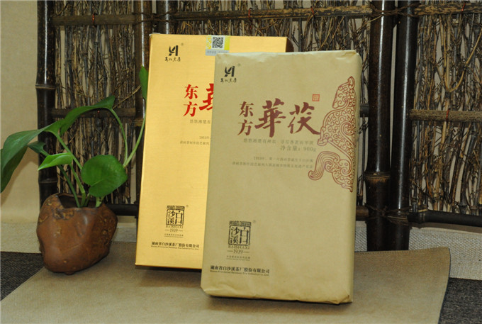 照片 033.jpg