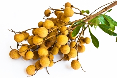 2014-01-29-Longan2-thumb.jpg