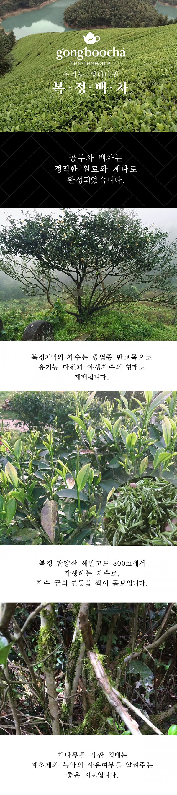 쇼핑몰 백차상단.png