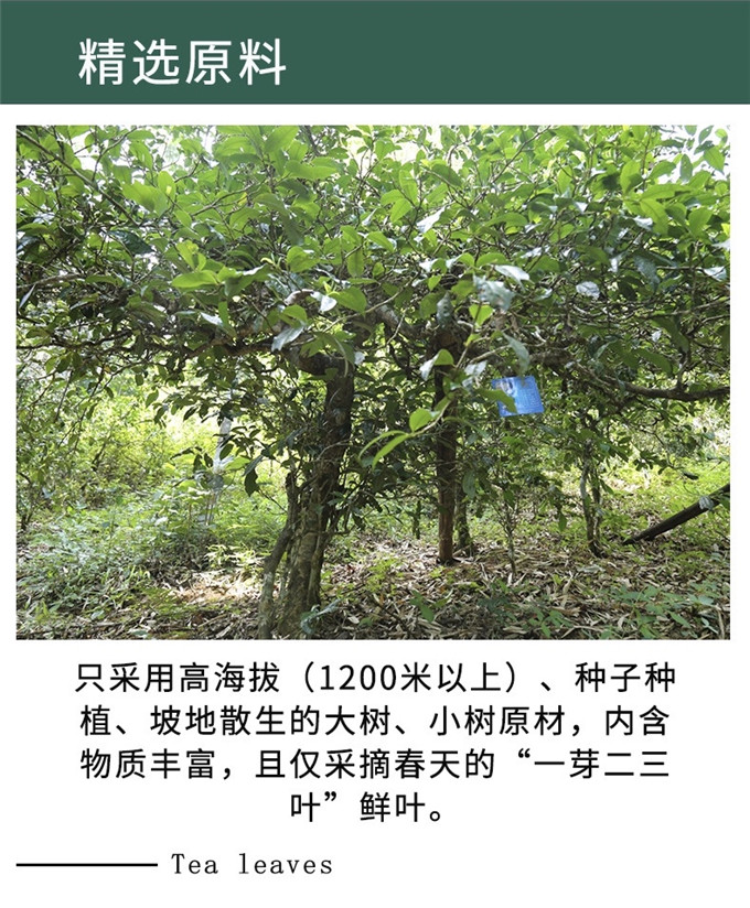 微信图片_20200520144001.jpg
