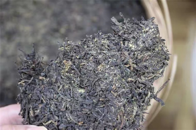 509a9f75f48f5a9a00cd9e9fa9fe7d26_1605520