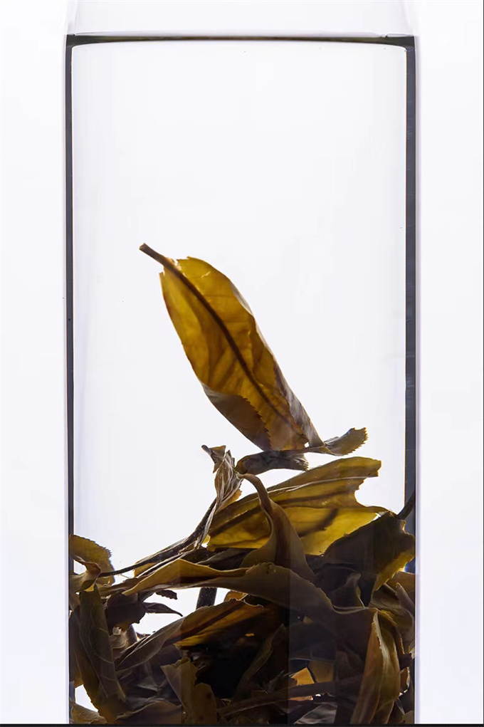 1fdc45a97d1af650cba9b341e92e0d03_1702624