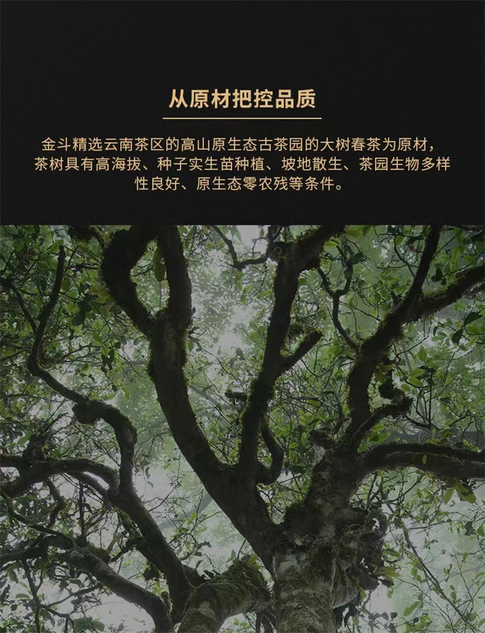 1fdc45a97d1af650cba9b341e92e0d03_1702624