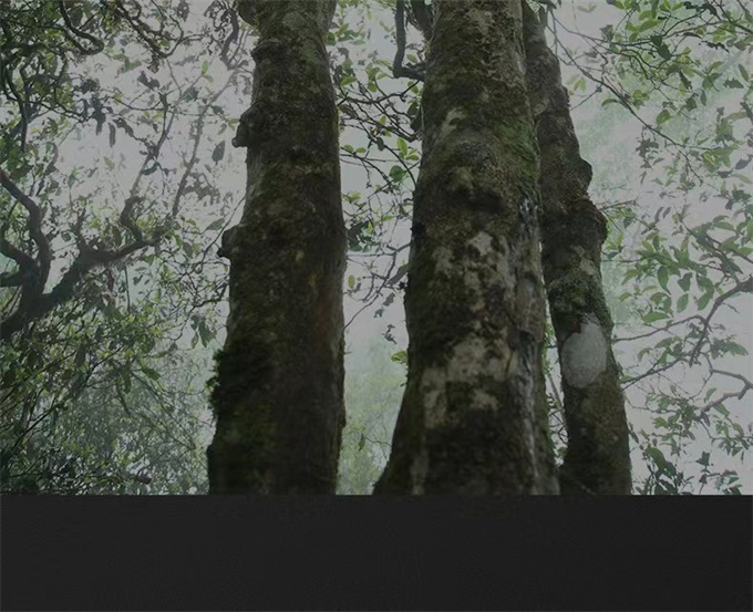 1fdc45a97d1af650cba9b341e92e0d03_1702624