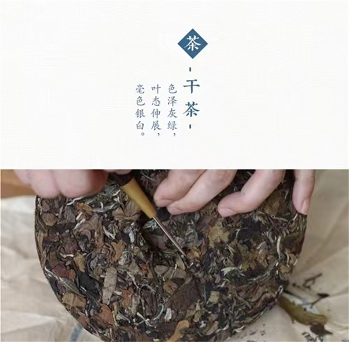 3203a64ca7d09d6ba3460cea11ad2ceb_1702398