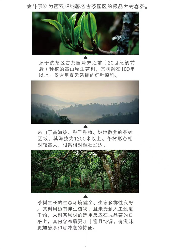 438f4c72e5c32eea8df0cd188b6d3d6e_1702253