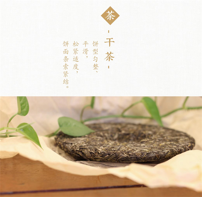 438f4c72e5c32eea8df0cd188b6d3d6e_1702253