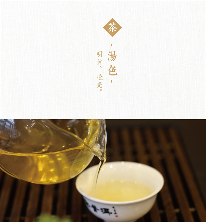 438f4c72e5c32eea8df0cd188b6d3d6e_1702253