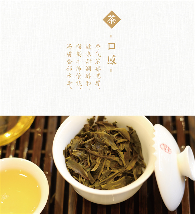 438f4c72e5c32eea8df0cd188b6d3d6e_1702253