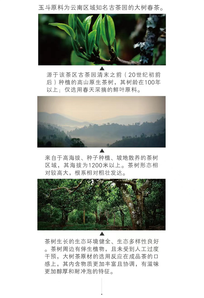 76ada934c1ee7fa48e85135457cb4404_1702211215_6715.jpg 76ada934c1ee7fa48e85135457cb4404_1702211