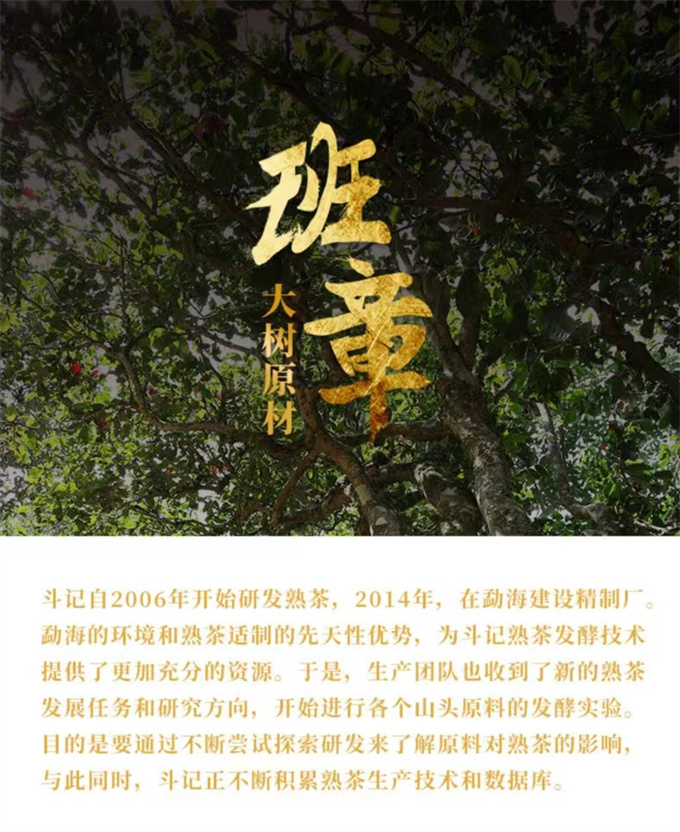 8672eaeca60556a5bf6fe6317602b582_1702718