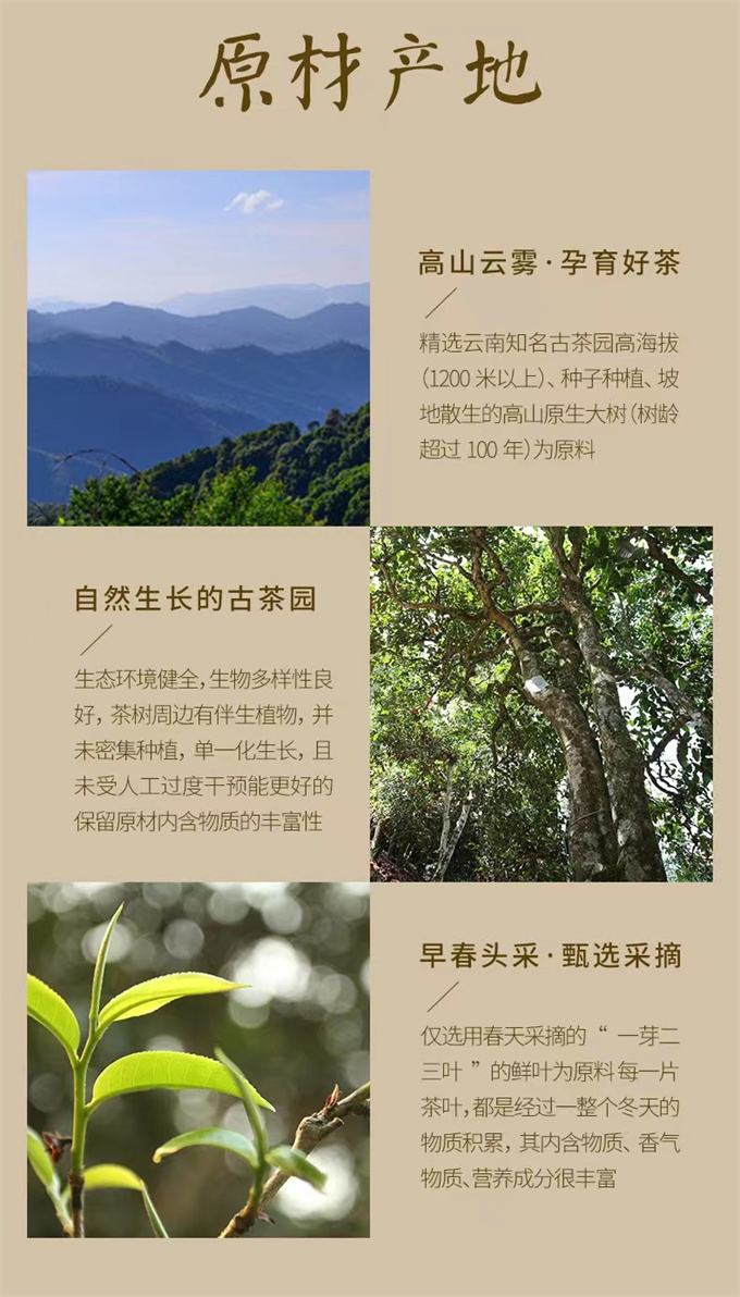 b5fbfbbaabf4a3e44248bf160301ec3d_1702386764_333.jpg b5fbfbbaabf4a3e44248bf160301ec3d_1702386