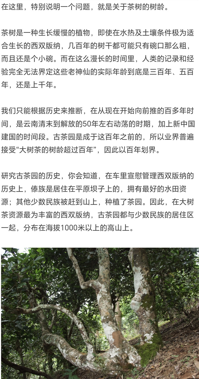 b5fbfbbaabf4a3e44248bf160301ec3d_1702388424_8396.jpg b5fbfbbaabf4a3e44248bf160301ec3d_1702388