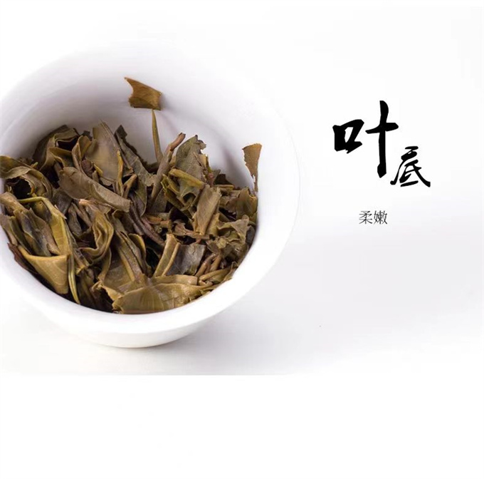 b5fbfbbaabf4a3e44248bf160301ec3d_1702389