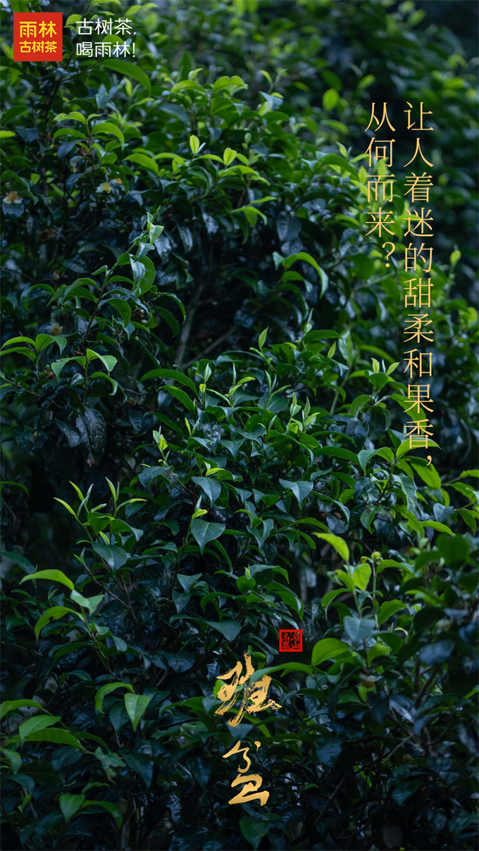 5aad7994482e99deb2d4257af1b99119_1747399
