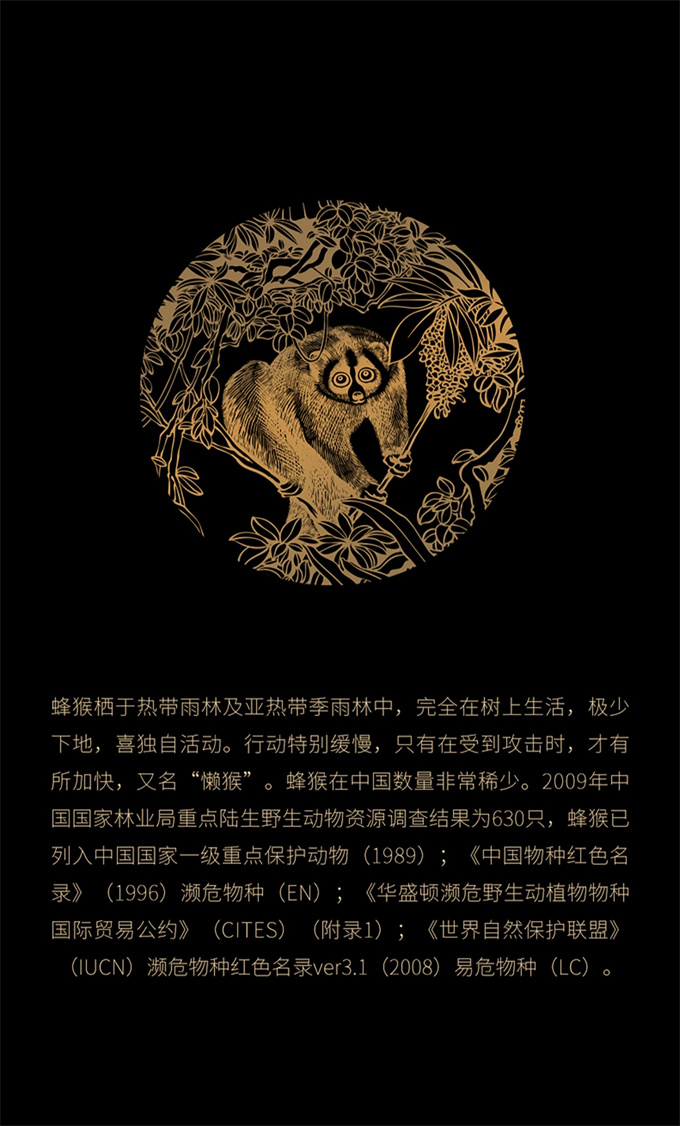 c26e541a14f51be435a2800b045cfbfd_1747416