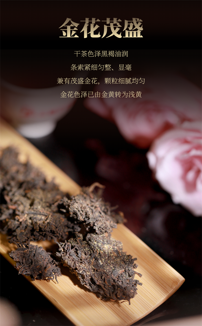 752310d3955876cc168481a6b82dc2de_1749314
