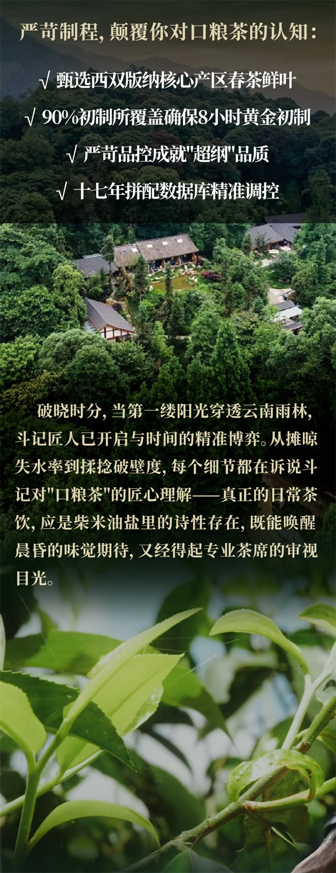 81fad0ab4ae7a7041da19a22ac81392c_1749782