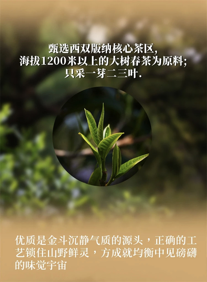 01271df5b54752e9e5148fa73954e330_1756873