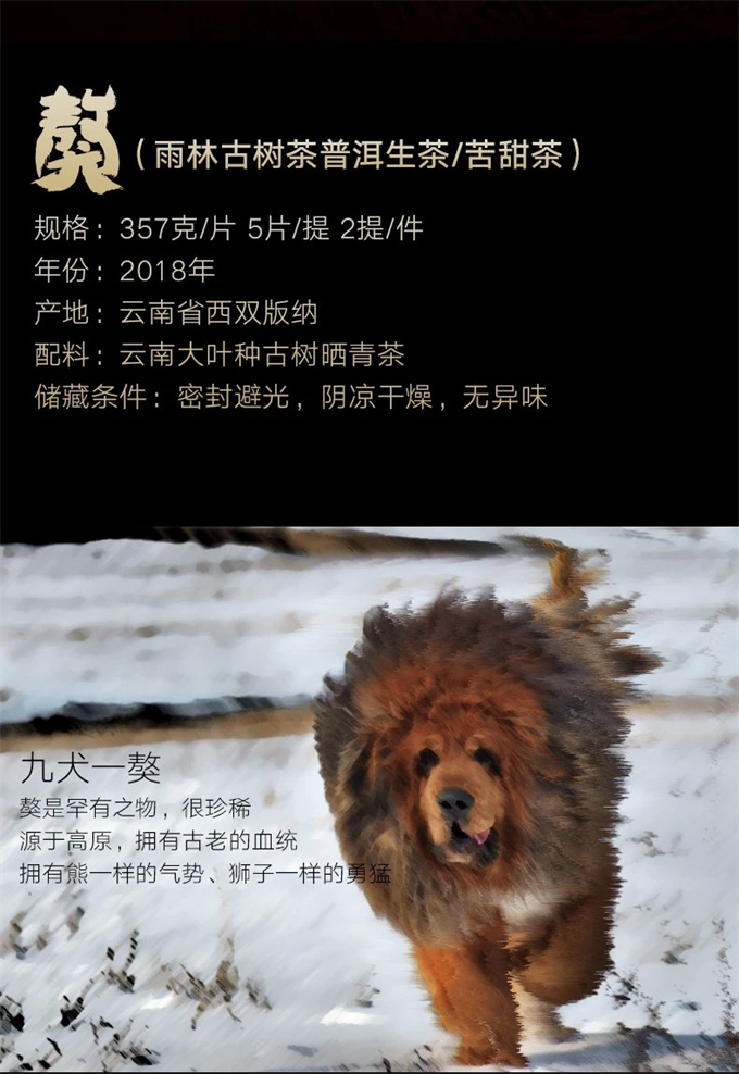 cc2d746a40939d3de49f74efa39214b5_1760068