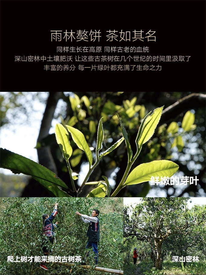 cc2d746a40939d3de49f74efa39214b5_1760068
