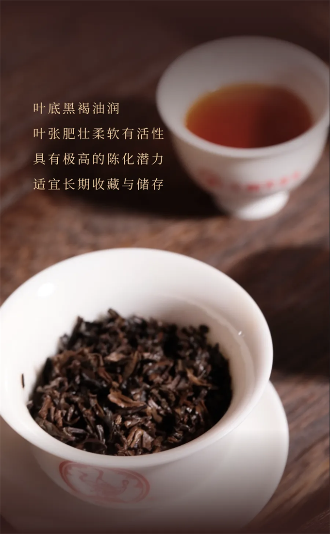 1b7ace59a1ef8fbf04f2db40e319cae1_1763432265_545.png 1b7ace59a1ef8fbf04f2db40e319cae1_1763432