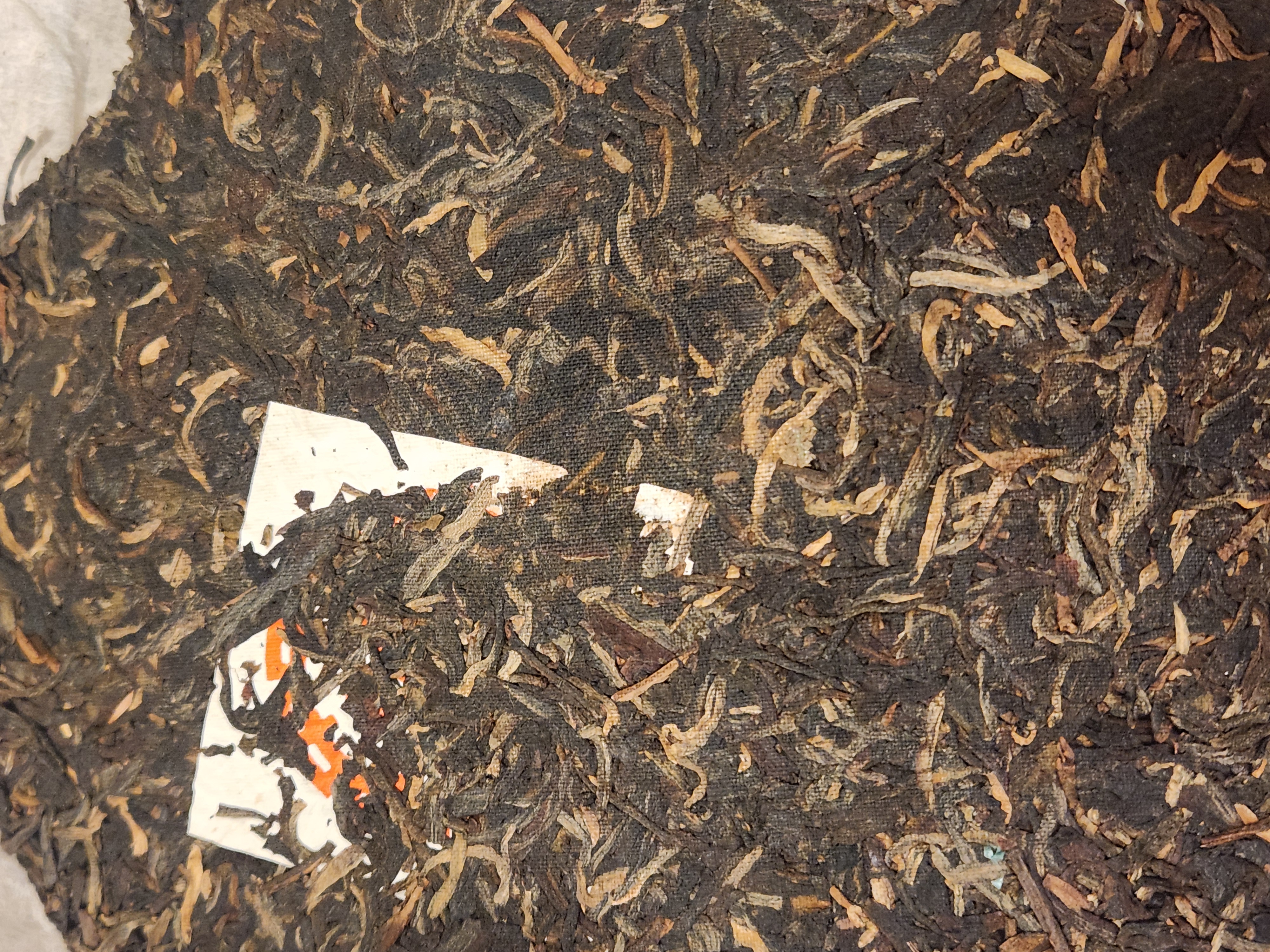 681bc5f7894936f1e9cf24eea3097d36_1762675