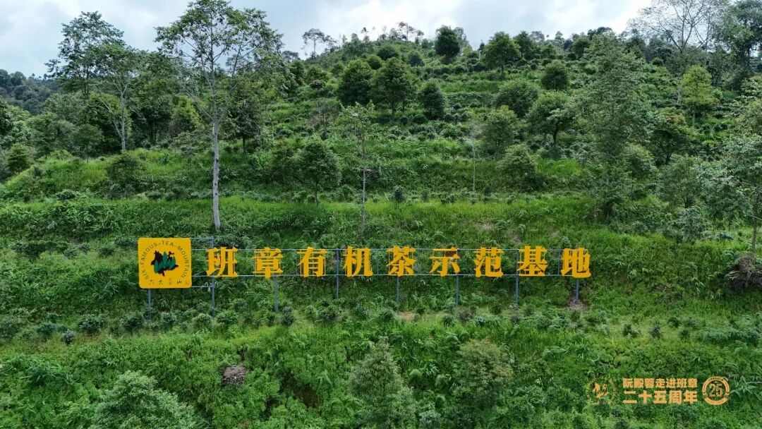 843f58f1b493428f892e4a6272ec9fb4_1762468