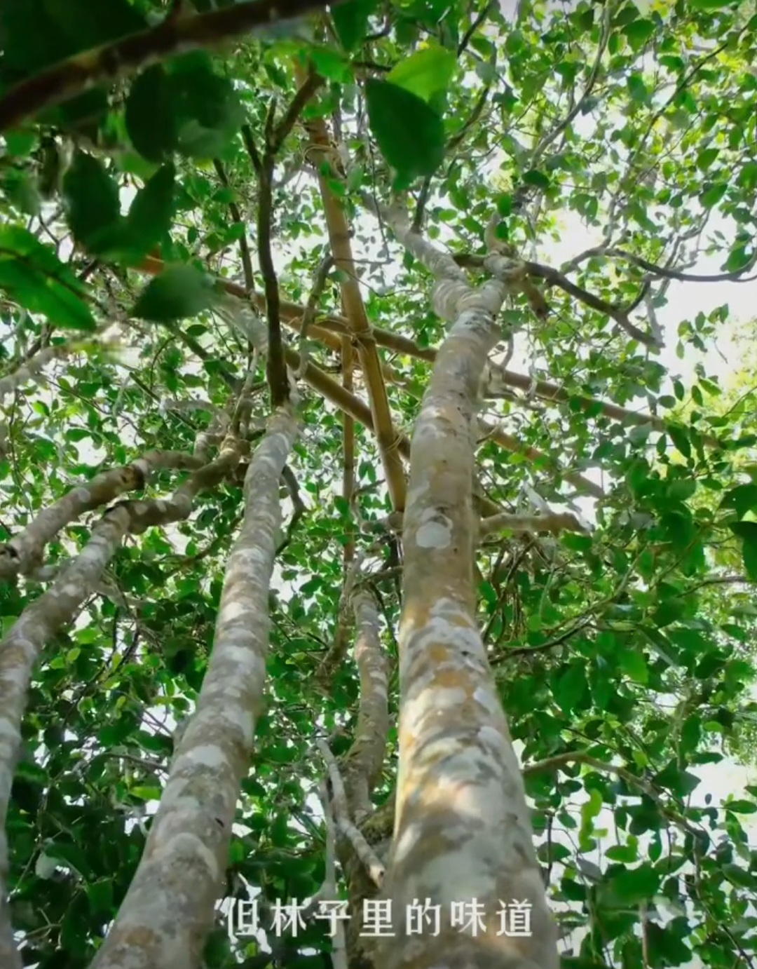 843f58f1b493428f892e4a6272ec9fb4_1762469