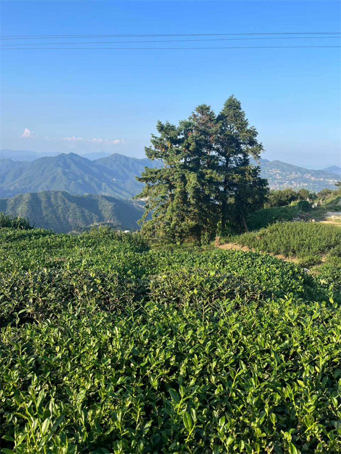 9038513c05b54a2216c0448f14eb1fde_1761959