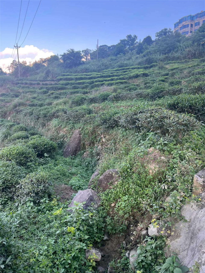 9038513c05b54a2216c0448f14eb1fde_1761959