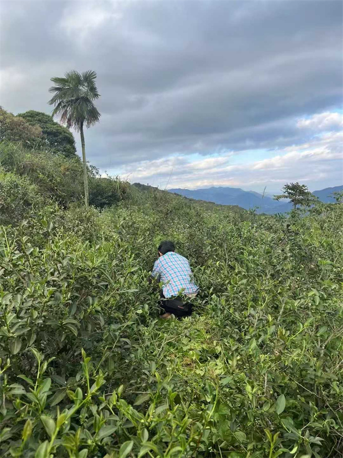 9038513c05b54a2216c0448f14eb1fde_1761959