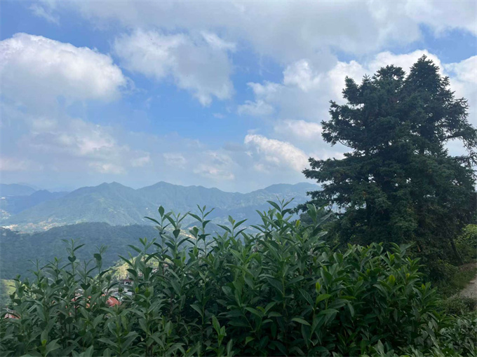 9038513c05b54a2216c0448f14eb1fde_1761959