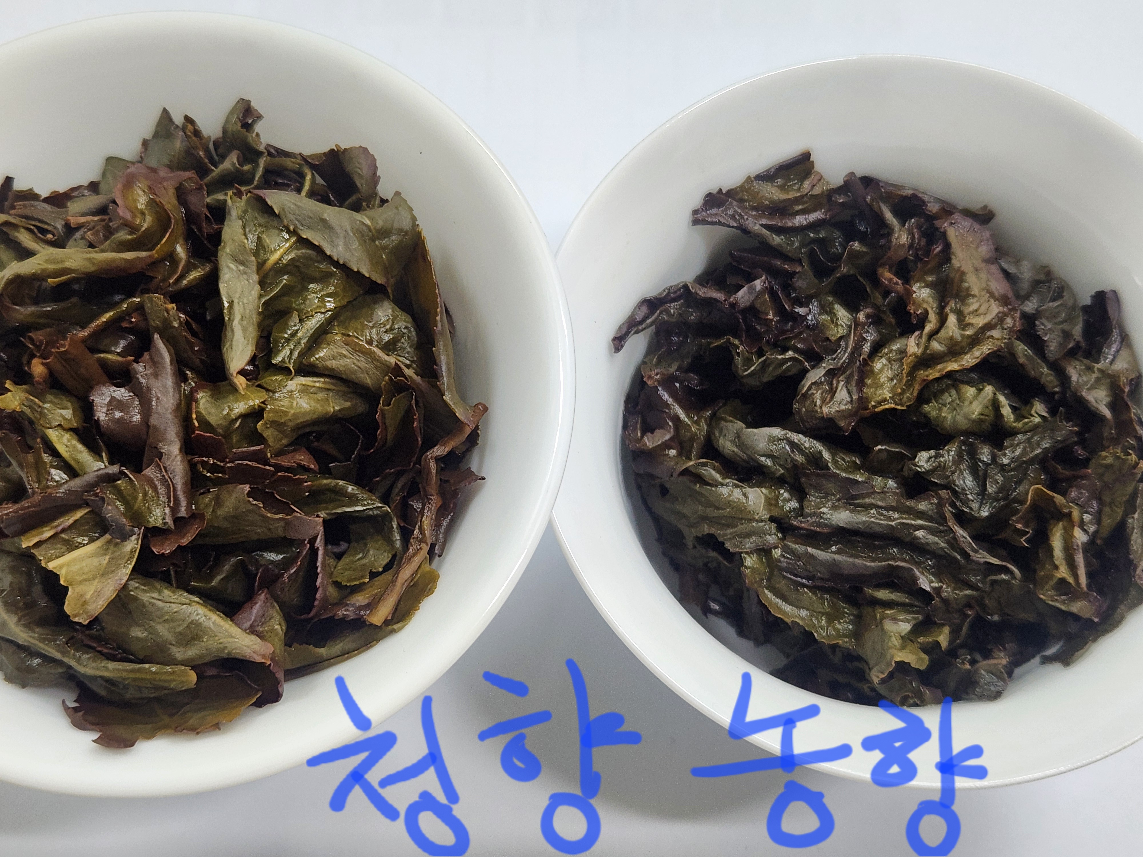 b6c6dd90943c60a0ef11f41b5e3de2dd_1762296