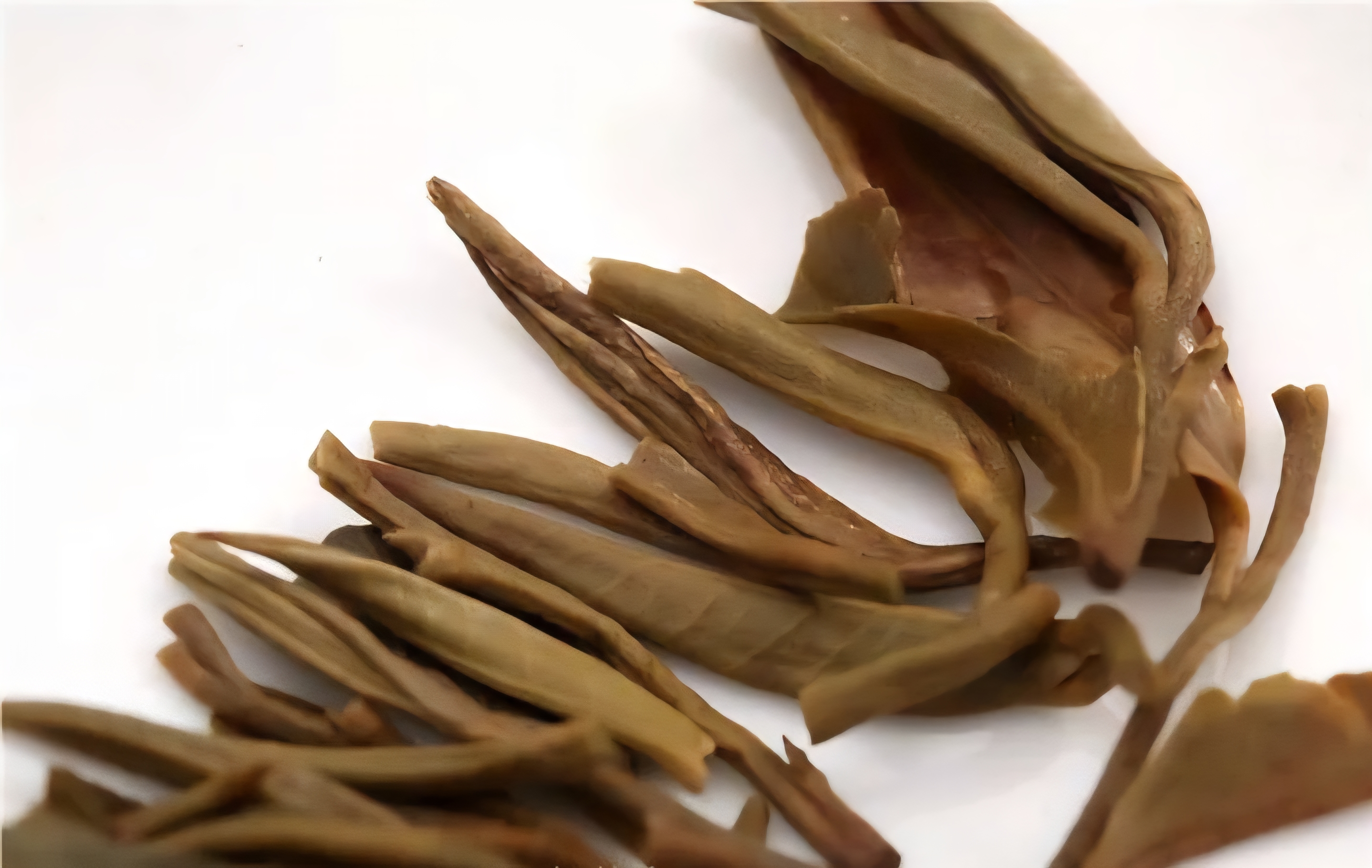 c2ac132fe6564d06db7950d9d2a80b9c_1762864969_8644.jpeg c2ac132fe6564d06db7950d9d2a80b9c_1762864