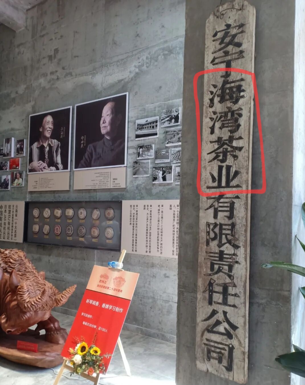 d551b6da6970c9be73be441080309d54_1763043