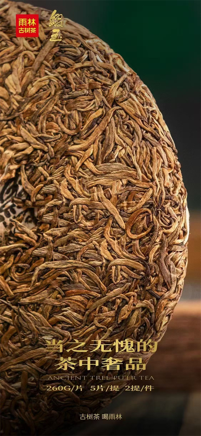 e9170c7bba1f688d23429fe7c881dd3c_1764209