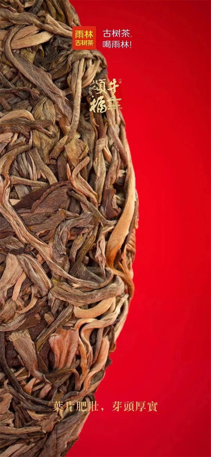 e9170c7bba1f688d23429fe7c881dd3c_1764229