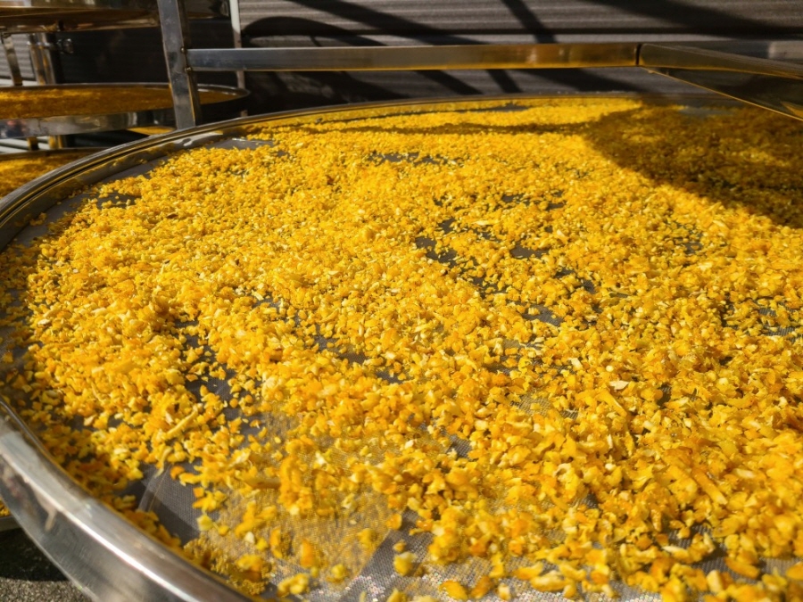 6ff65f22e97276758c7a48df3d2c5593_1766116