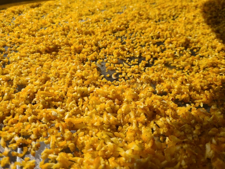 6ff65f22e97276758c7a48df3d2c5593_1766116