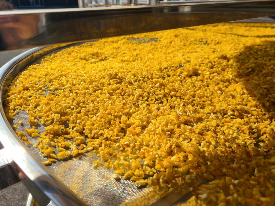 6ff65f22e97276758c7a48df3d2c5593_1766116