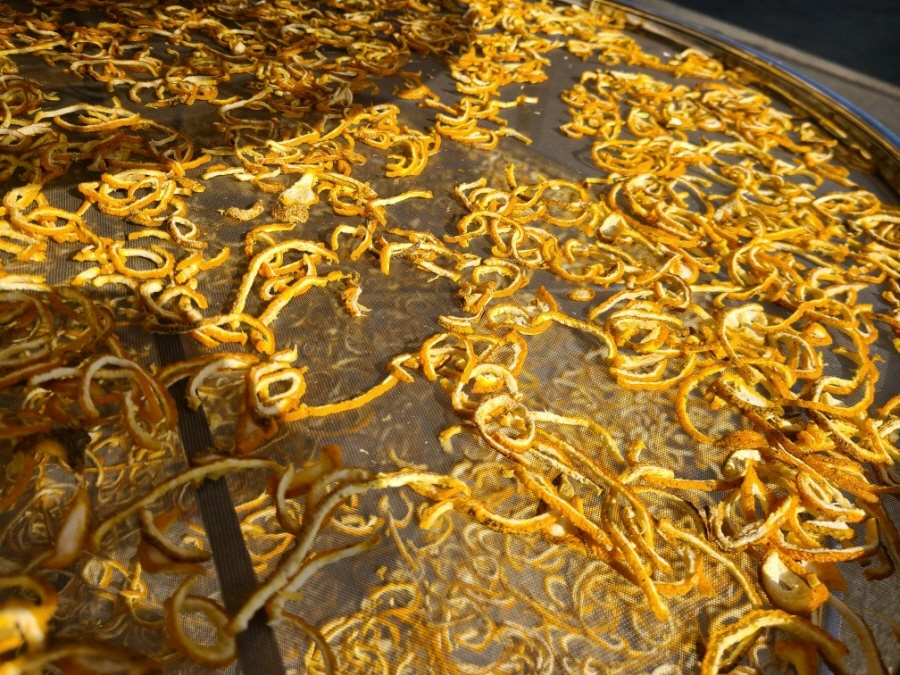 6ff65f22e97276758c7a48df3d2c5593_1766116