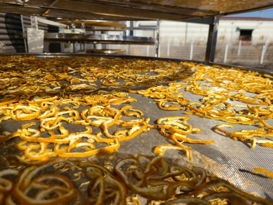 6ff65f22e97276758c7a48df3d2c5593_1766116