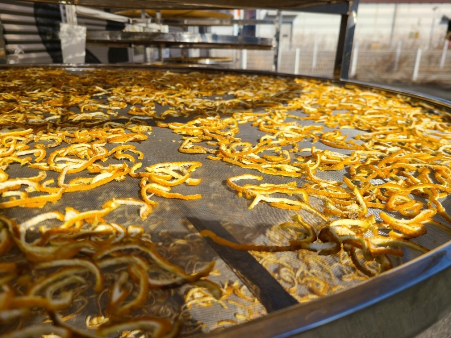 6ff65f22e97276758c7a48df3d2c5593_1766116