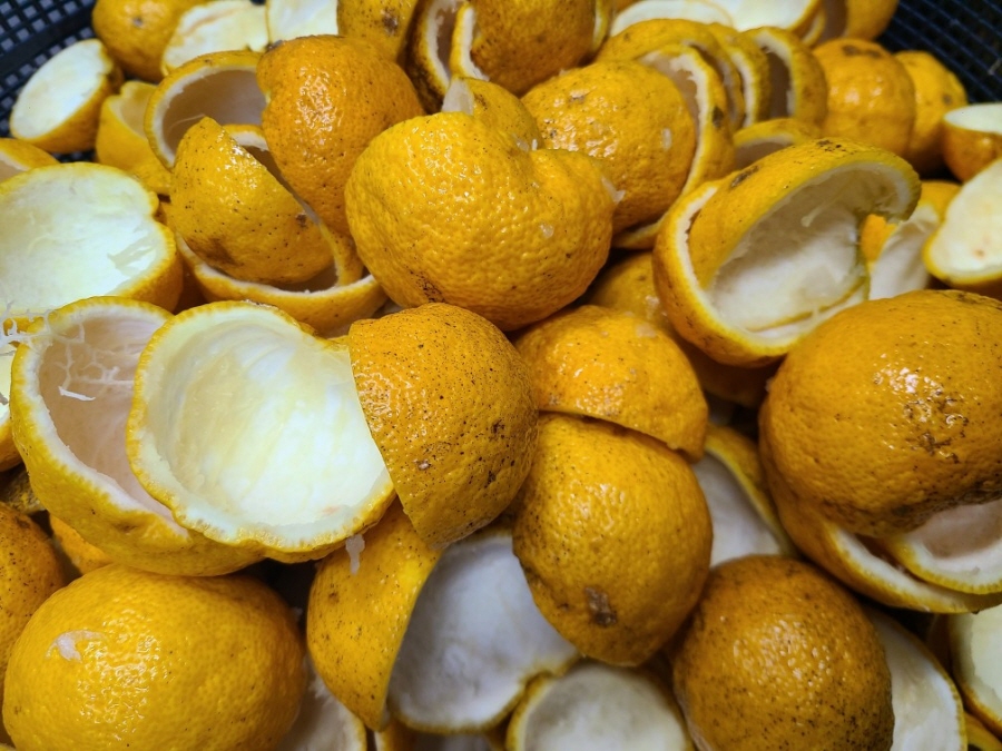 6ff65f22e97276758c7a48df3d2c5593_1766116