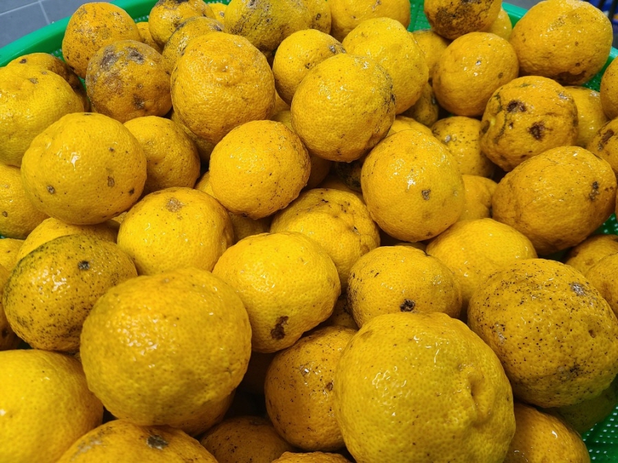 6ff65f22e97276758c7a48df3d2c5593_1766116