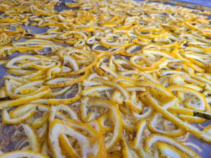 7b688c608f2df42fc0de1cdab8edb29b_1766190